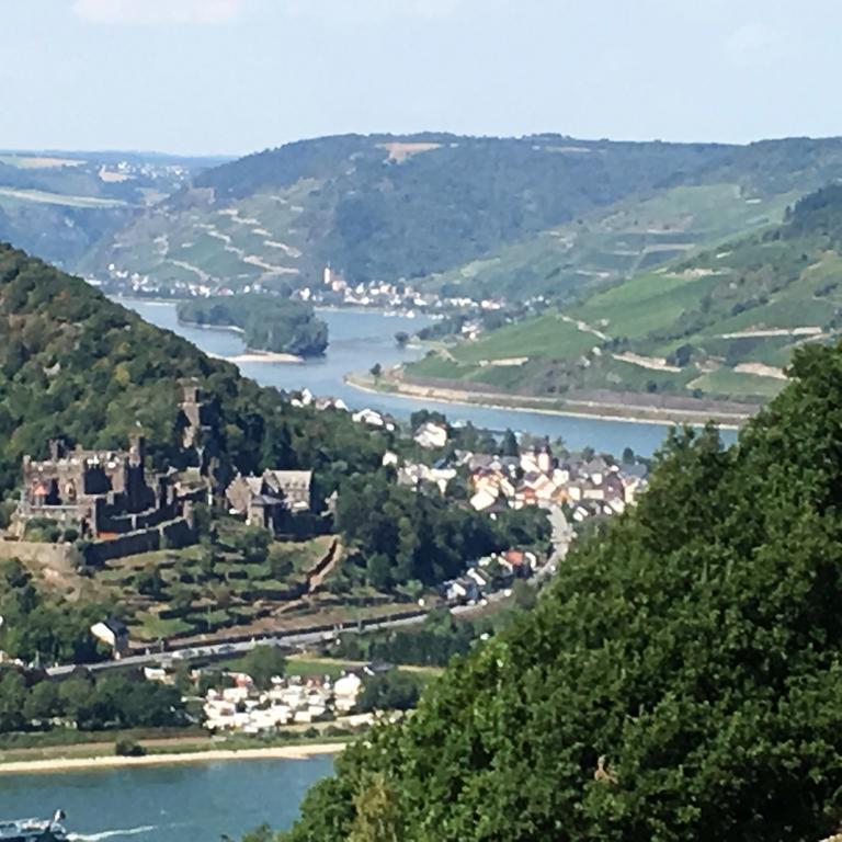 Gasthaus Landgasthof Germania Rüdesheim am Rhein Exterior foto